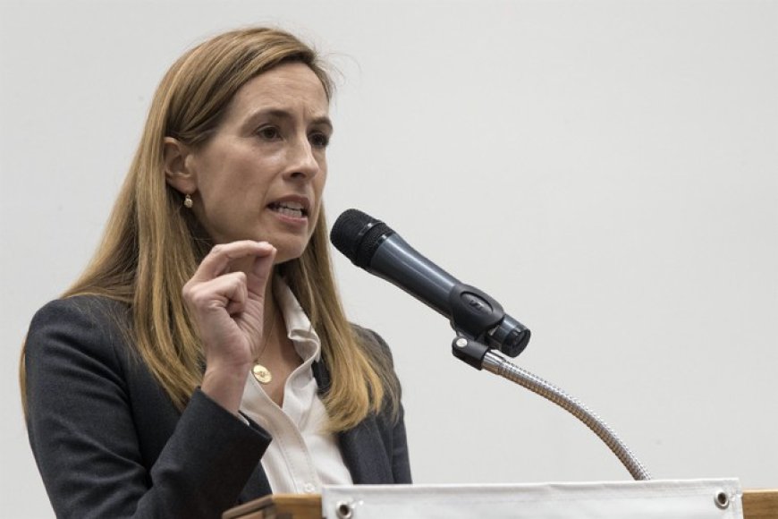 The Rise, and the Fall, of Mikie Sherrill in the New Jersey Governors Race