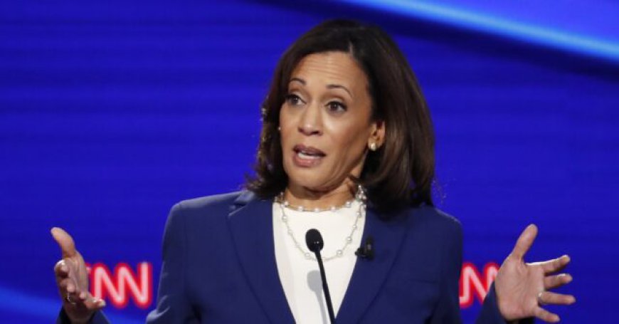 Kamala Harris Claims Gen Z Afraid to Have Children Because of ‘Climate Anxiety’ Her Party Created