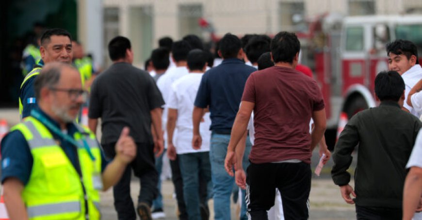 Federal Reserve Bank: Trump's Deportations Boost Wages and Technology