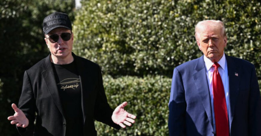 'Safety Standards Exist for a Reason': Elon Musk Echoes Support for Trump's Crackdown on Illegal Truckers