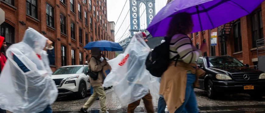 NYPD Agrees To Two-Block ‘Police-Free Zone’ In High-Crime Neighborhood