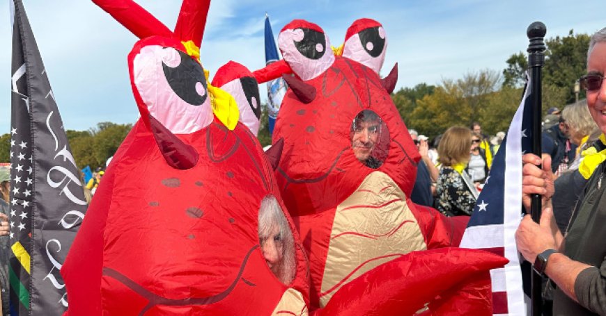 Leftist Protesters Spotted Wearing Frog, Cat, Dinosaur Costumes at 'No Kings' Protests