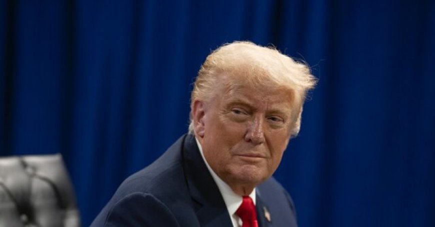 Trump Chooses Challenger to 'Weak and Pathetic RINO' Thomas Massie: 'Run, Ed, Run!'