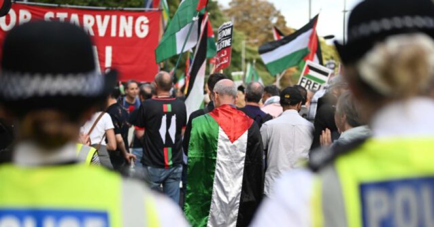 Jewish Man Arrested for 'Antagonising' Pro-Palestine Protesters by Wearing Star of David: Report