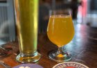 St. Louis Microbrewery Tour - Urban Chestnut Brewing Company - The Grove Bierhall