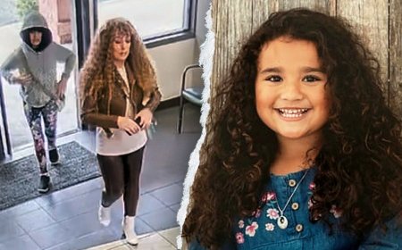 Car used by missing California girl's mom on road trip had license plates swapped to 'avoid detection'