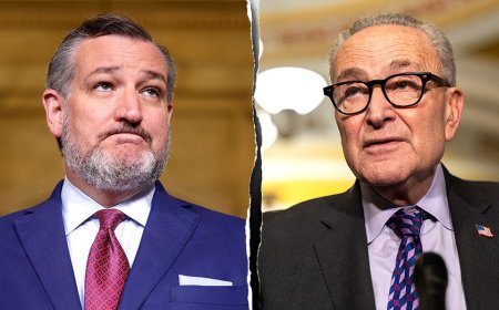 Cruz predicts Democrats will keep shutdown going to rally 'radicals' until after Election Day