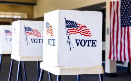 What the results of the 2025 elections may mean for Democrats and Republicans