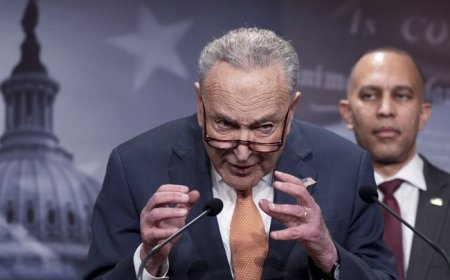 Schumer Shutdown: Dems Readying the Towel?