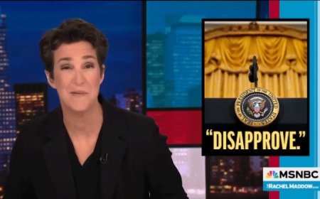 Rachel Maddow tells business leaders not to kowtow to 'deeply unpopular' Trump