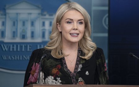 Trump Clashes With California Over Election Fraud