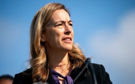 Sherrill wins New Jersey governor's race