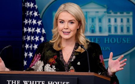 Trump Administration Horrified by New Development in Arctic Frost Investigation