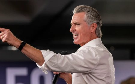 Voters Give Gavin Newsom Green Light To Gerrymander California