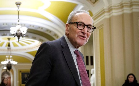 Senate Democrats eye exit from record-breaking shutdown as pressure intensifies