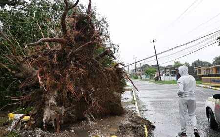 Influencers face backlash for 'tragedy tourism' during Hurricane Melissa