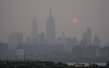 Socialist Suffocation in the City: Mamdani's Promise of Endless Meddling