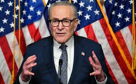 Senate Dems emboldened in shutdown strategy after election sweep