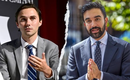 David Hogg celebrates Zohran Mamdani's win, calls on Dems to reignite the 'American Dream'