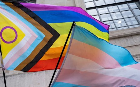 Survey school admins don't want you to see asks young children about gender identity, climate change fears