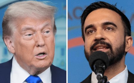 Trump says Mamdani should reach out to him: 'Has to be a little bit respectful of Washington'