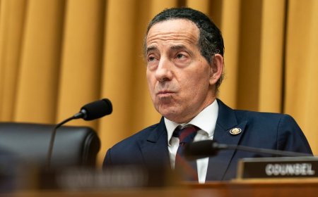 Raskin: Conservative Supreme Court justices 'willing to put the brakes' on Trump