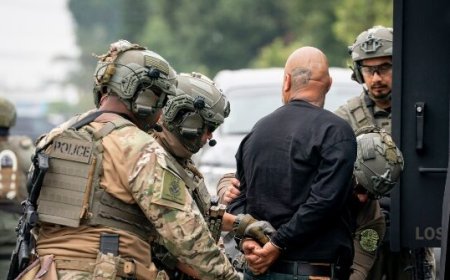 Trick-or-Treat in Peace: ICE Takes 'Monsters' Off the Streets for Halloween