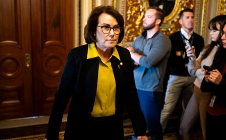 Rosen accuses Moreno of snooping on staff's cars