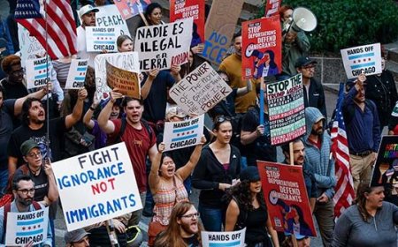 WATCH: Chicago Activists Cry Victim as They Harass Immigration Officers