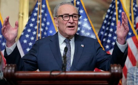 NEWT GINGRICH: Chuck Schumer’s Shutdown Strategy