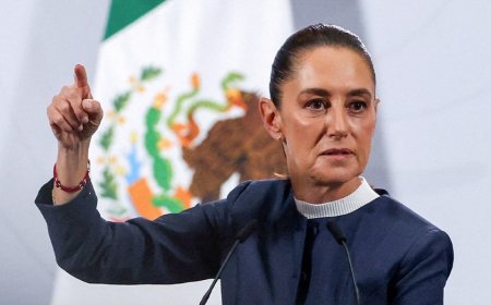 Mexican President Sheinbaum to press charges after man gropes her on walk