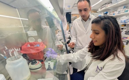 New pancreatic cancer treatment ‘wakes up’ immune cells, researchers say