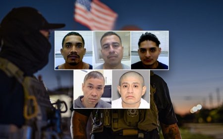 ICE operation prevents ‘nightmares and PTSD’ in massive Texas operation