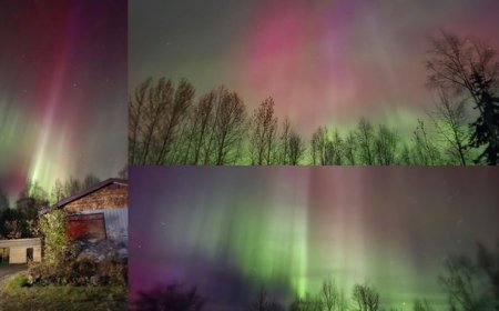 An Alaska Sight Is Coming to the Lower 48, Thanks to the Sun