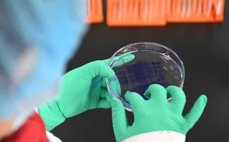 University of Michigan's bio-smuggling scandal explodes: More Chinese scholars busted in alleged plot