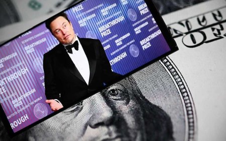 Turn off the money; they’ll leave: Elon Musk nails the border truth