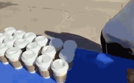 Iowa student flipped Turning Point USA table on campus in viral video that led to arrest: docs