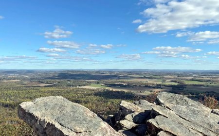 Neighboring states invite disaffected NY, NJ, VA voters to move after Dems' election sweep