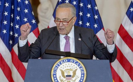 Rep Tom Emmer shreds Schumer as 'scared old man' who won't end shutdown because he's afraid of progressives