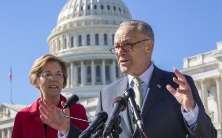 Democrats Are in Such Disarray, They're Looking for 'Trump the Dictator' to Take Action