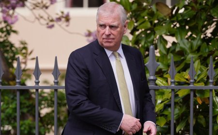 House Democrats request 'transcribed interview' with Andrew Mountbatten Windsor on Epstein