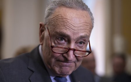 Here's the Scoop After Dems Meet to Discuss Ending Shutdown