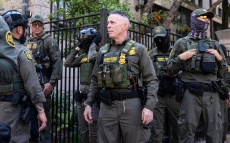 'Shocks the conscience': Judge slams immigration officers' use of force in Chicago, reports say