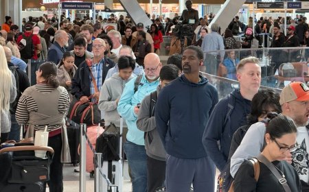 Travel industry sounds alarm over how shutdown will impact Americans ahead of Thanksgiving