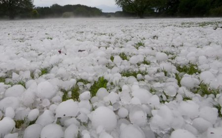 Over 20 Million In Tennessee, Ohio Valleys Face Threat Of Severe Weather As Cold Front Moves In