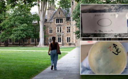 What we know about the Chinese nationals accused of smuggling biological materials while at university lab