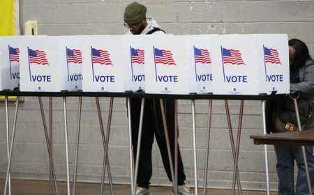 The Democrat Wave in 2025, and the Return of the Yellow Dog Democrat