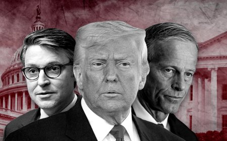 Deal to reopen government falters over Democrats’ distrust of Trump