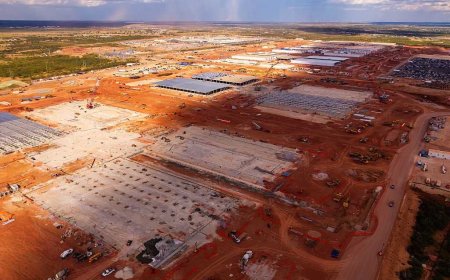 Stop feeding Big Tech and start feeding Americans again