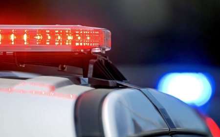 Outrage erupts after teenager pleads no contest to horrific rape charges and walks free